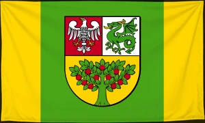 Флаг